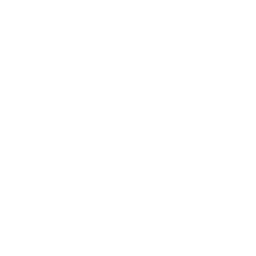missing-icon